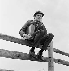 sitting_on_the_fence