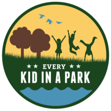 every kid in a park